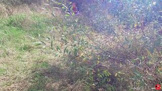 ���পরিচিত মেয়ে মানুষের মুখের মধ্যে পরে, ধ্যান, বন